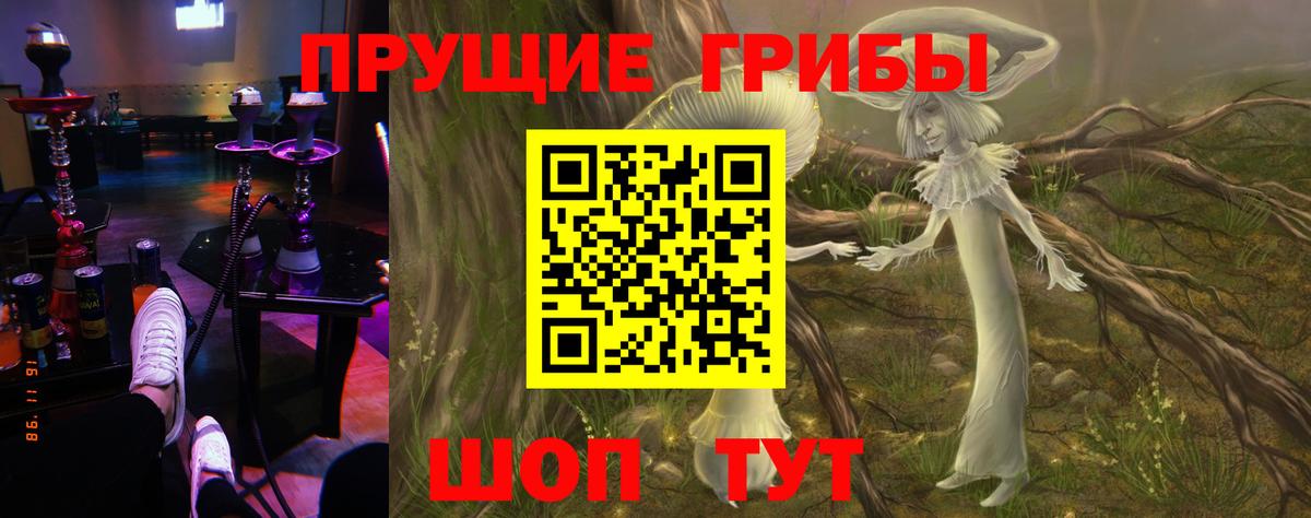 Псилоцибиновые грибы Cubensis Балахна